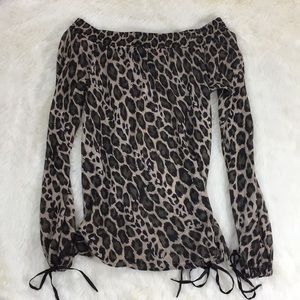 Arden B. Leopard Long-sleeve Sheer Top